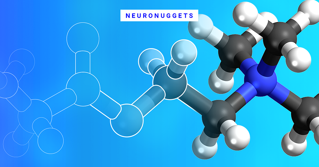Creating Molecules from Scratch II: AAE, VAE, and the Wave Transform