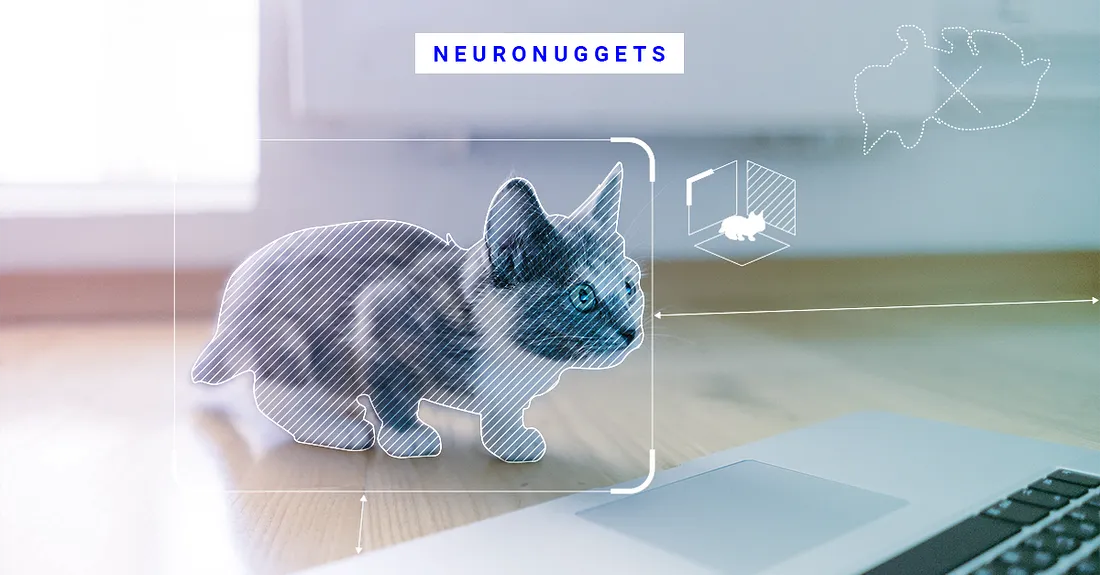 NeuroNuggets: Cut-and-Paste in Deep Learning