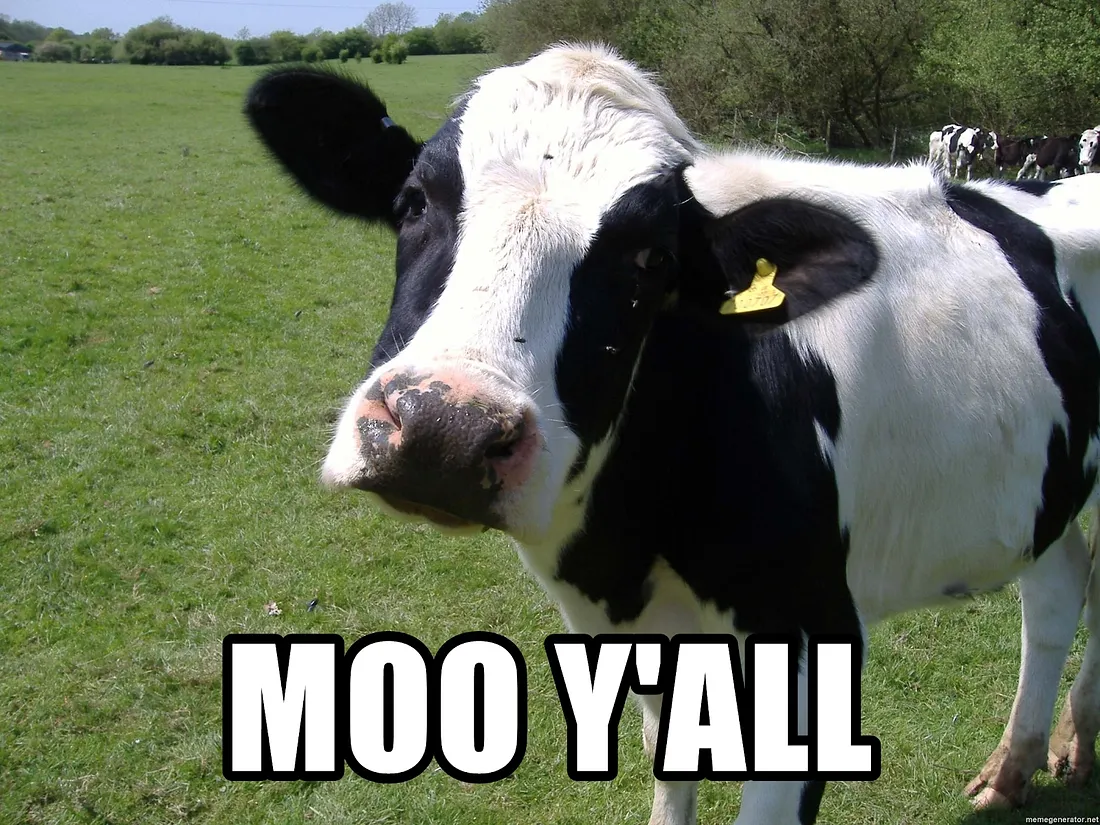 Tracking Cows with Mask R-CNN and SORT